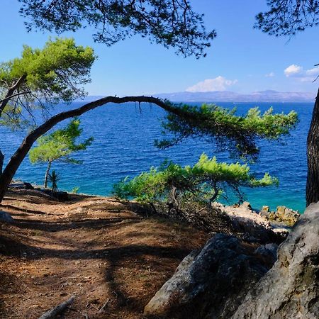 Vila Vita Donje Selo na Šolti Dış mekan fotoğraf