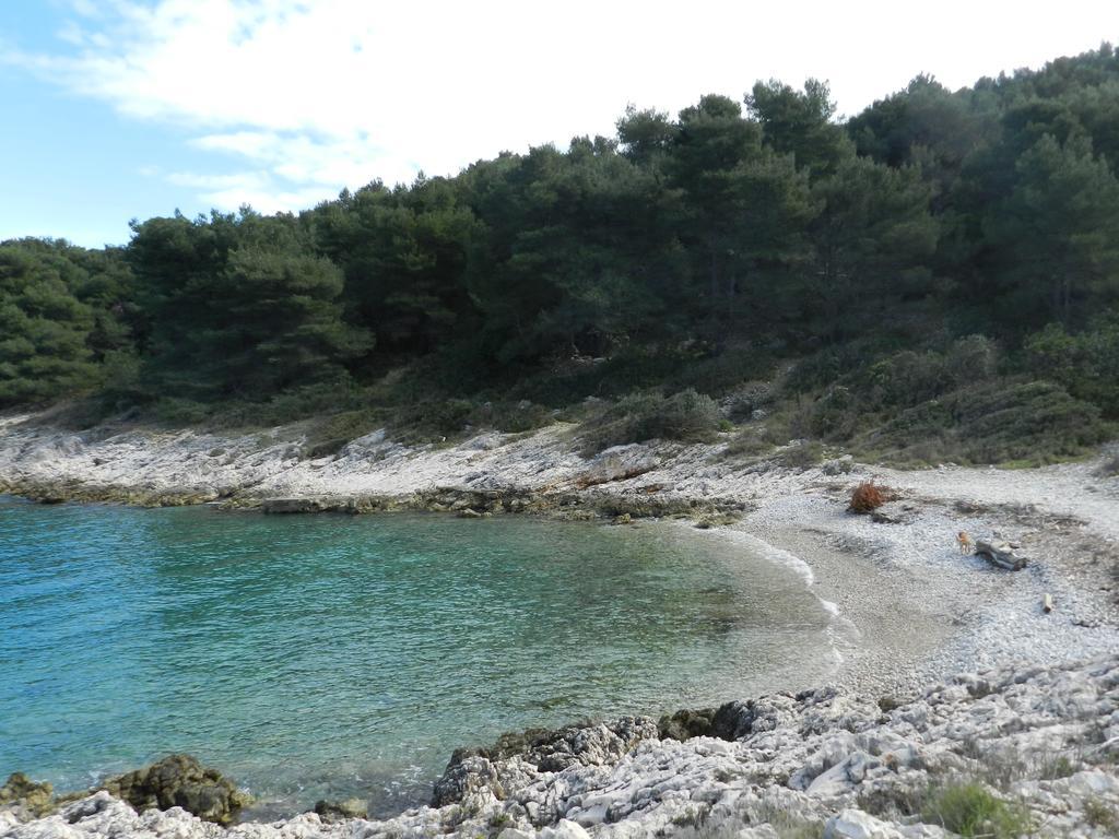 Vila Vita Donje Selo na Šolti Dış mekan fotoğraf